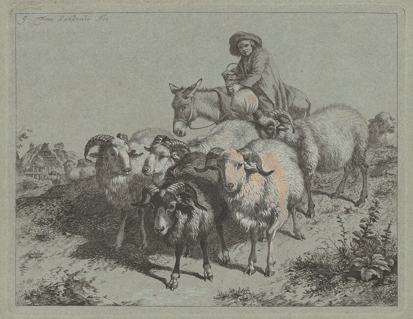 Boy on a Donkey Driving a Flock