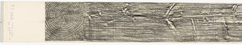 Il suo essere fino al 49 anno d'età in un'ora fantastica (His Being Until the 49th Year of Age in a Fantastic Hour)