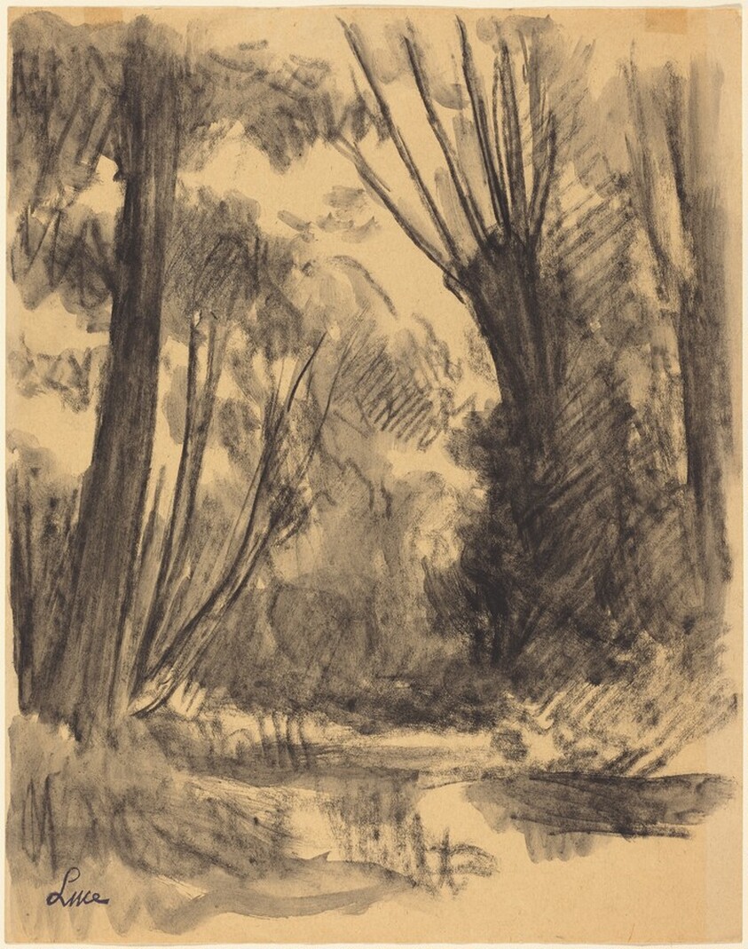 A Forest Glade with a Stream