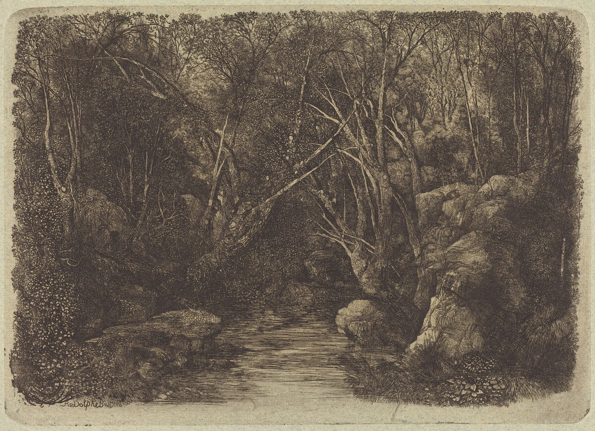 The Brook in the Woods