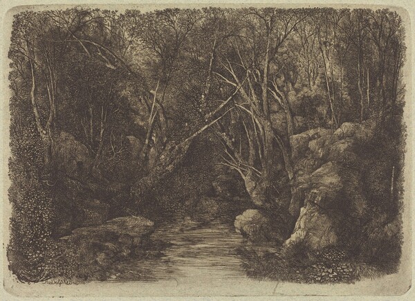 The Brook in the Woods