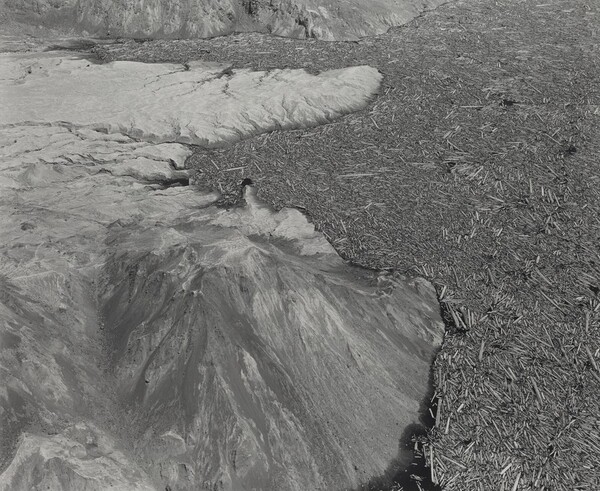 Aerial View: Logs and Debris in South End of Spirit Lake--4.5 Miles North of Mount Saint Helens, Washington