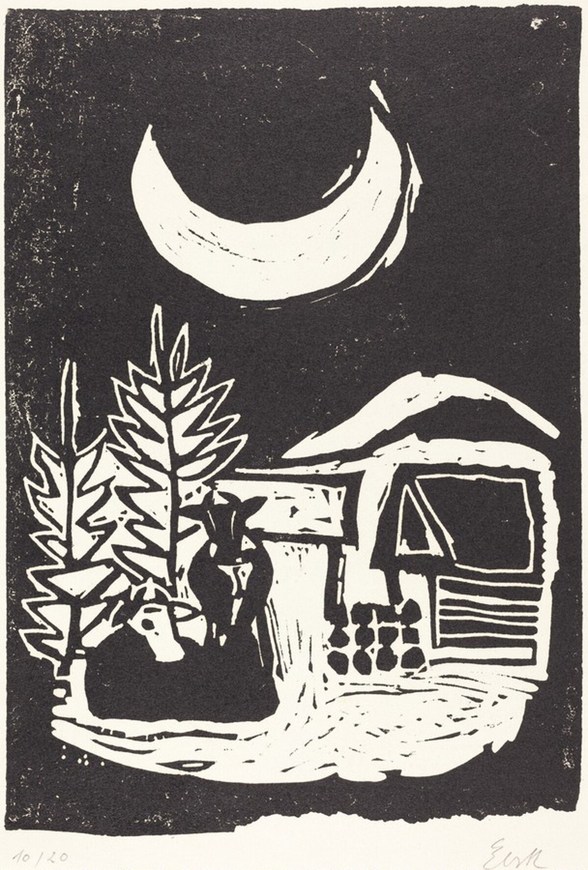 Winter Moon