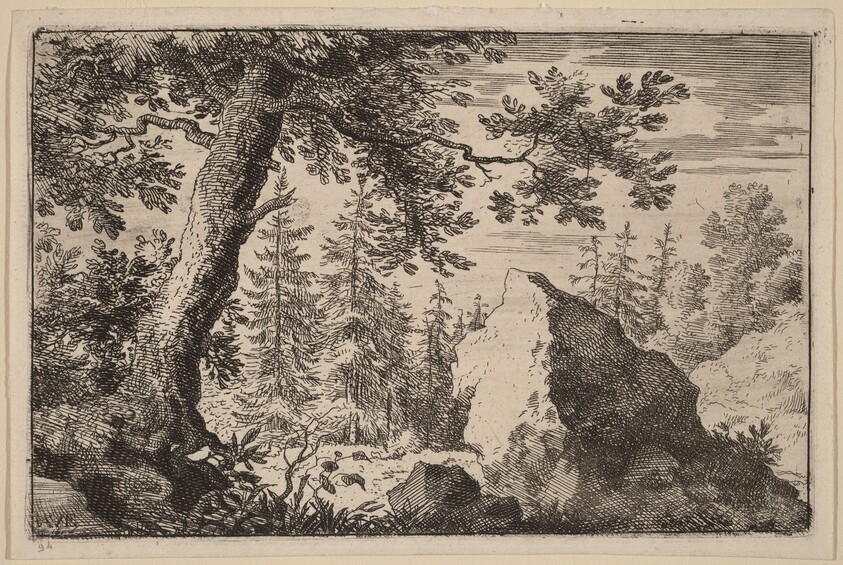 Boulder in the Woods