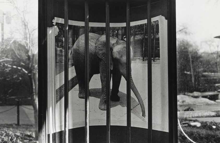 Lincoln Park Zoo, Chicago