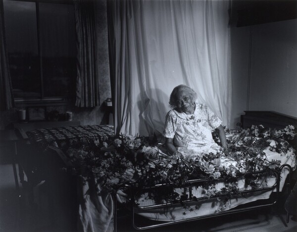 Gussie on a Bed with Flowers