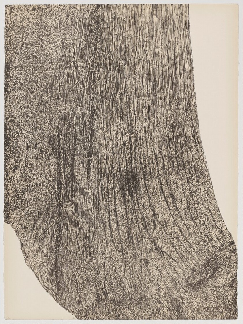 Wood from Of Nature, Of Man