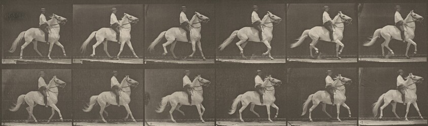 Plate Number 589. "Clinton" ambling, bareback