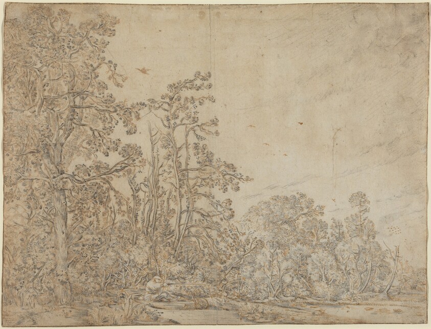 Woodland Pond with a Fisherman