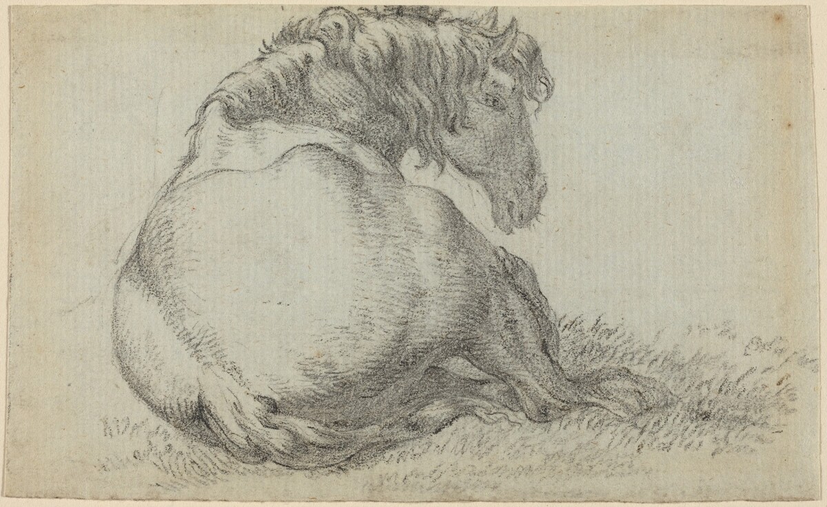 Resting Horse
