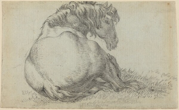 Resting Horse