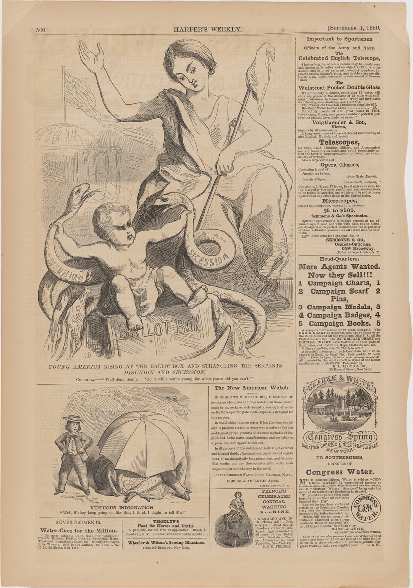 Young America Rising at the Ballot-Box and Strangling the Serpents: Disunion and Secession