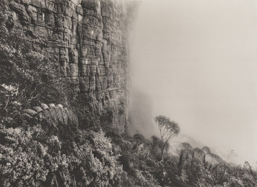 The Roraima Tepui, which straddles the borders of southeastern Venezuela, Brazil and Guyana. Tepui is a Pemon Indian word for mountain. Amazonia. Venezuela.