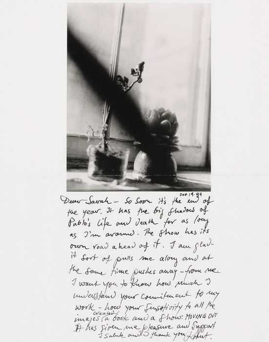 The image shows two large potted plants on a windowsill. One plant is small in a glass container, and the other is larger with a lotus-like shape. The color palette is black and white. The plant on the left is slightly in the background and leans towards the glass, while the plant on the right is prominently in the foreground, slightly left of the center. A diagonal dark streak crosses the image. Light streams through a window in the background. Below the image, handwritten text in black ink starts with "Dear Sarah," with several lines filling the space on a white background.