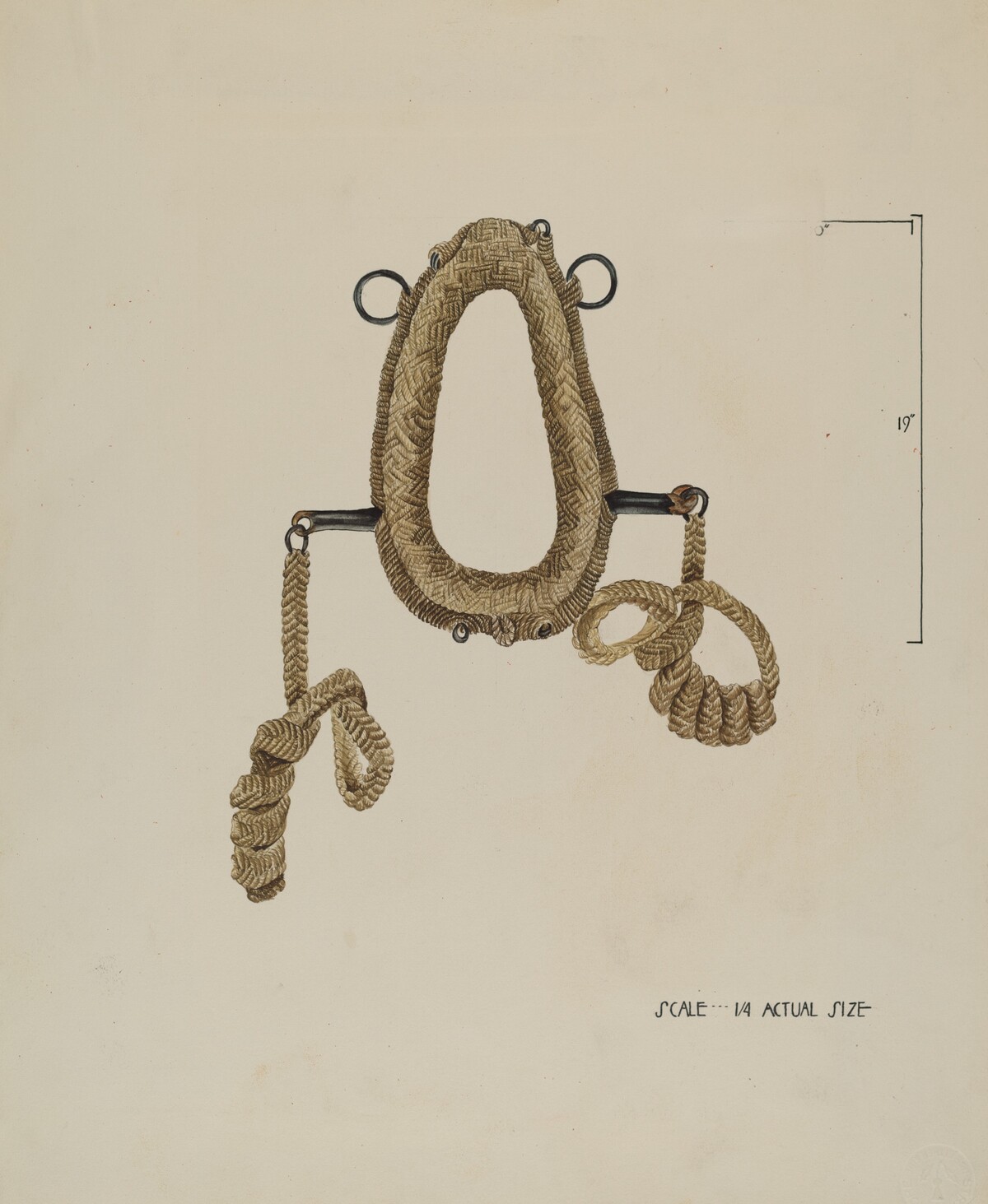 Collar For Burro