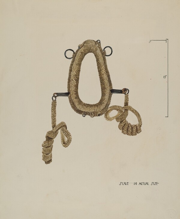 Collar For Burro