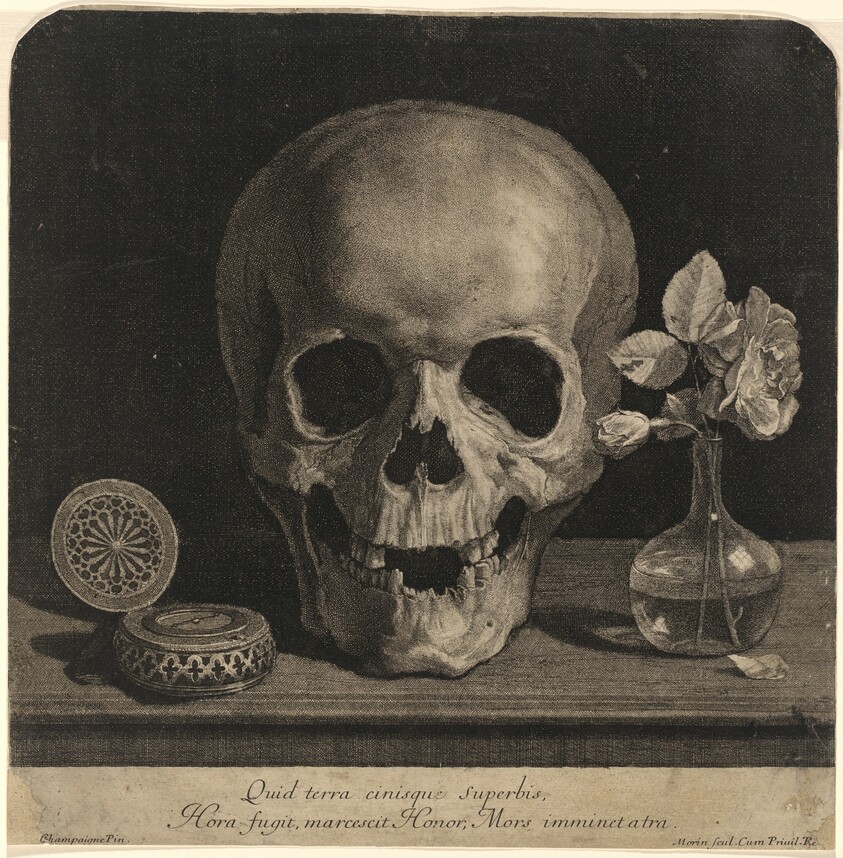 Still Life with a Skull and a Vase of Roses