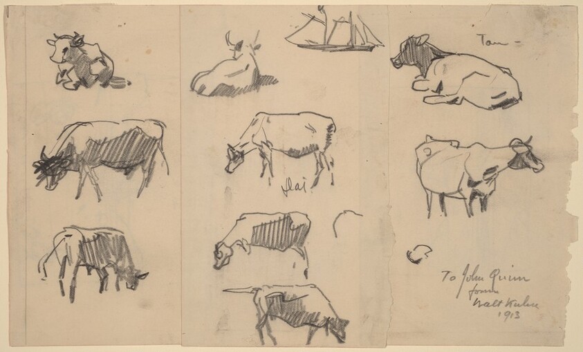 Cows [recto]