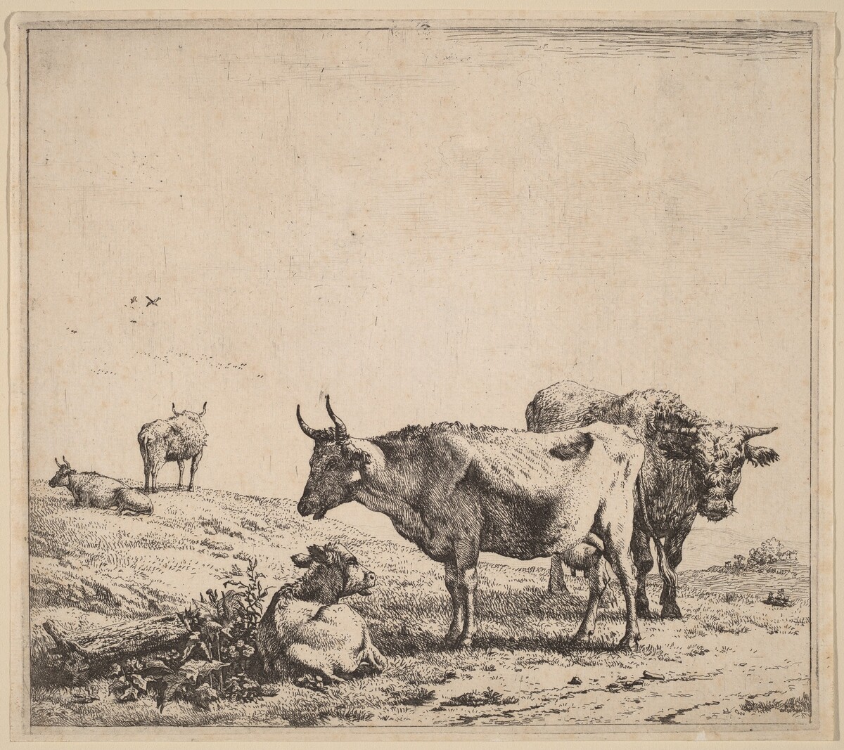 Cow, Bull and Calf
