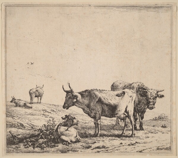 Cow, Bull and Calf