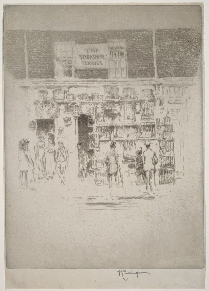 The Yorkshire Terrier