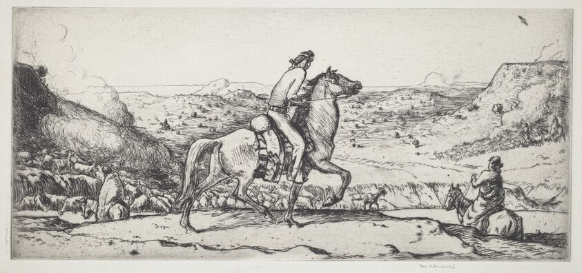 Navajo Rider