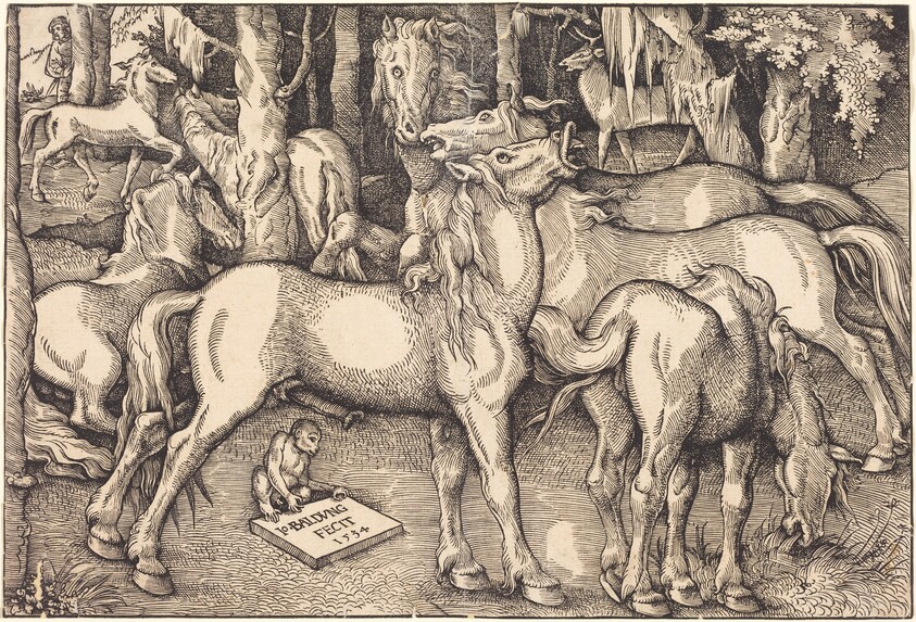 Group of Seven Horses