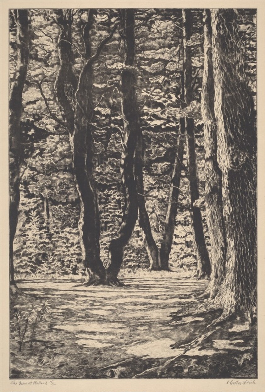 Pine Grove at Holland