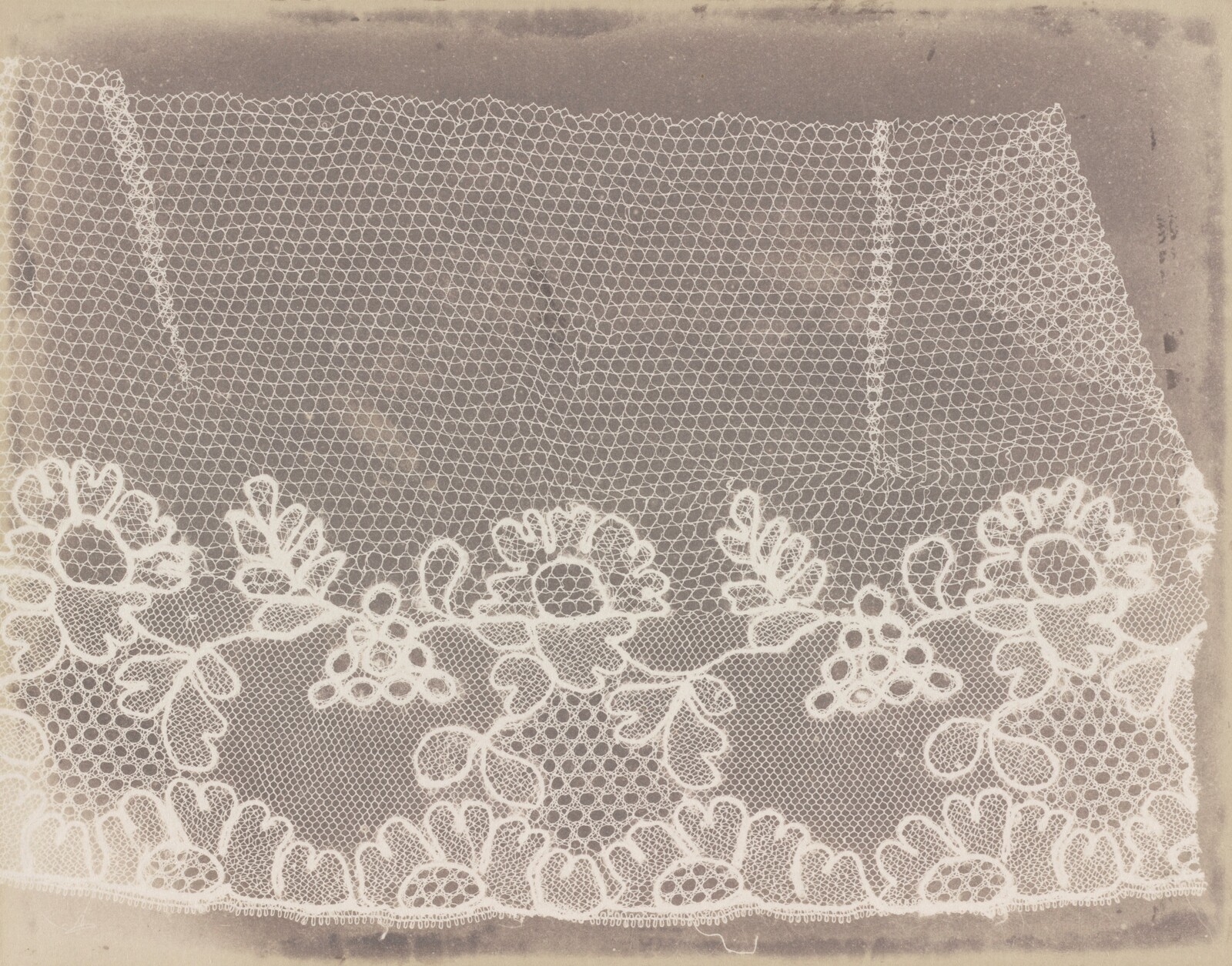 Lace