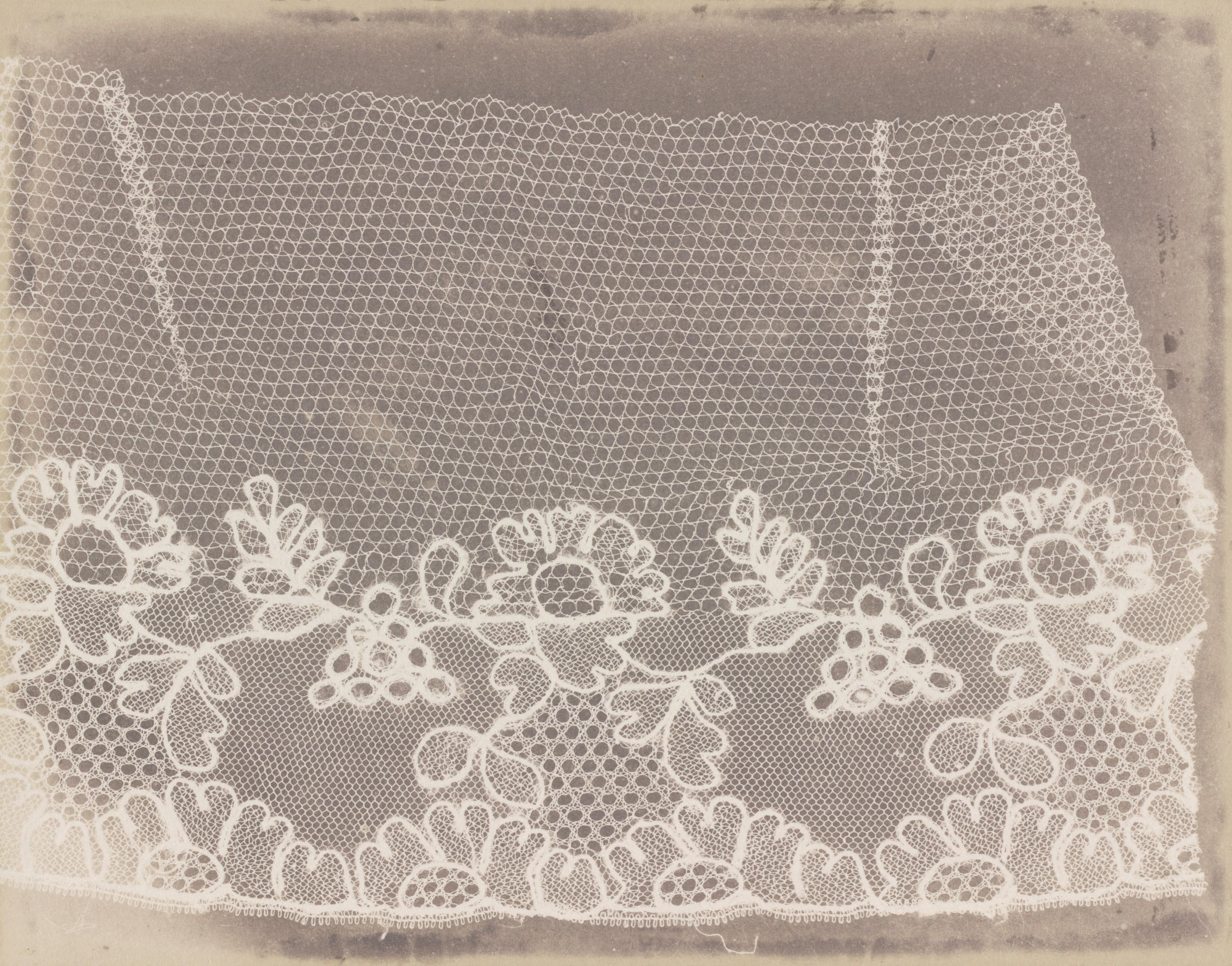 Lace by William Henry Fox Talbot
