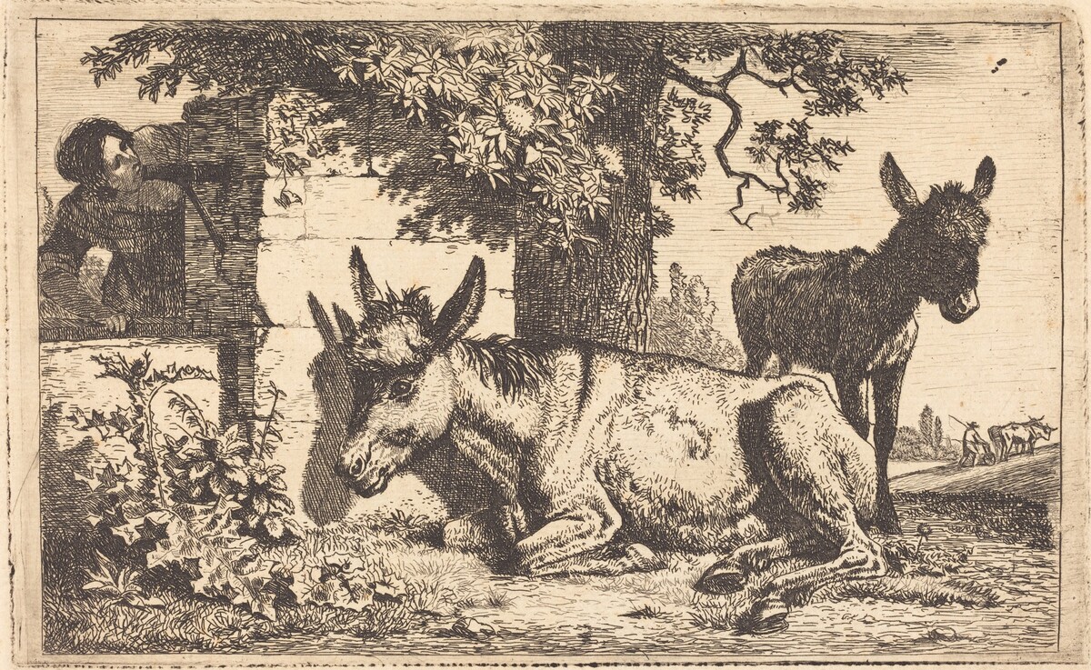 A Donkey by a Water Well