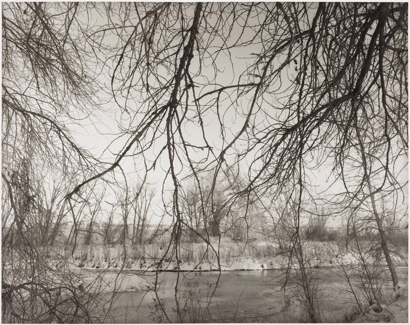 Winter, East of Fort Collins, Cache la Poudre River