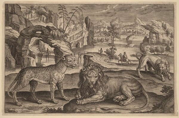 A Leopard and Two Lions