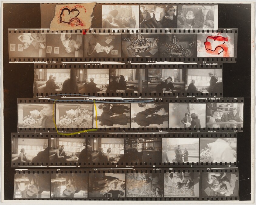 Tulip--Paris 53A/Lines of My Hand 25/Black White and Things 21