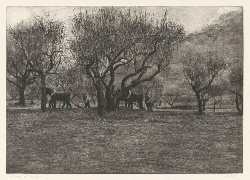 Almonds of Andaluzia