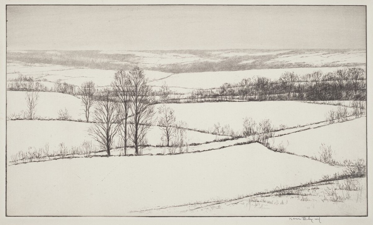 Snow Fields