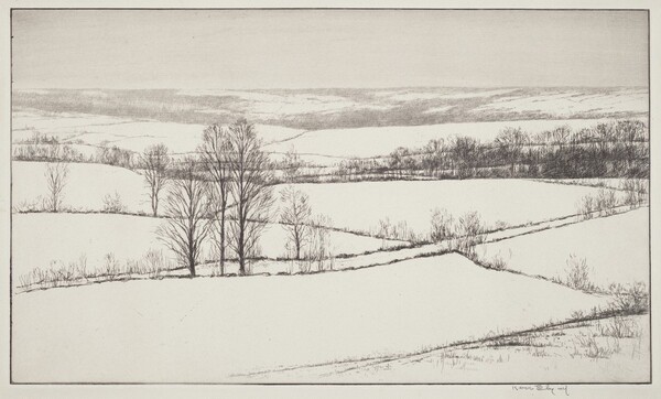 Snow Fields