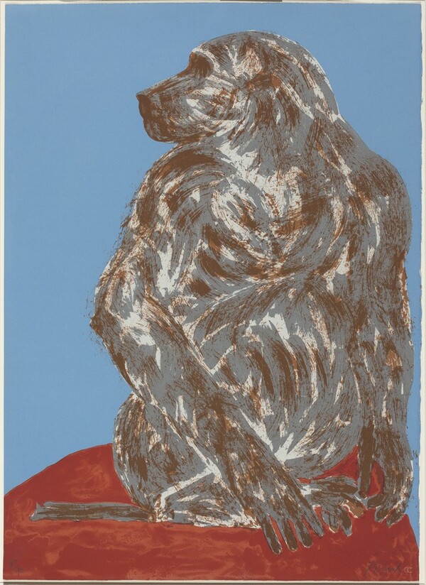 Baboon