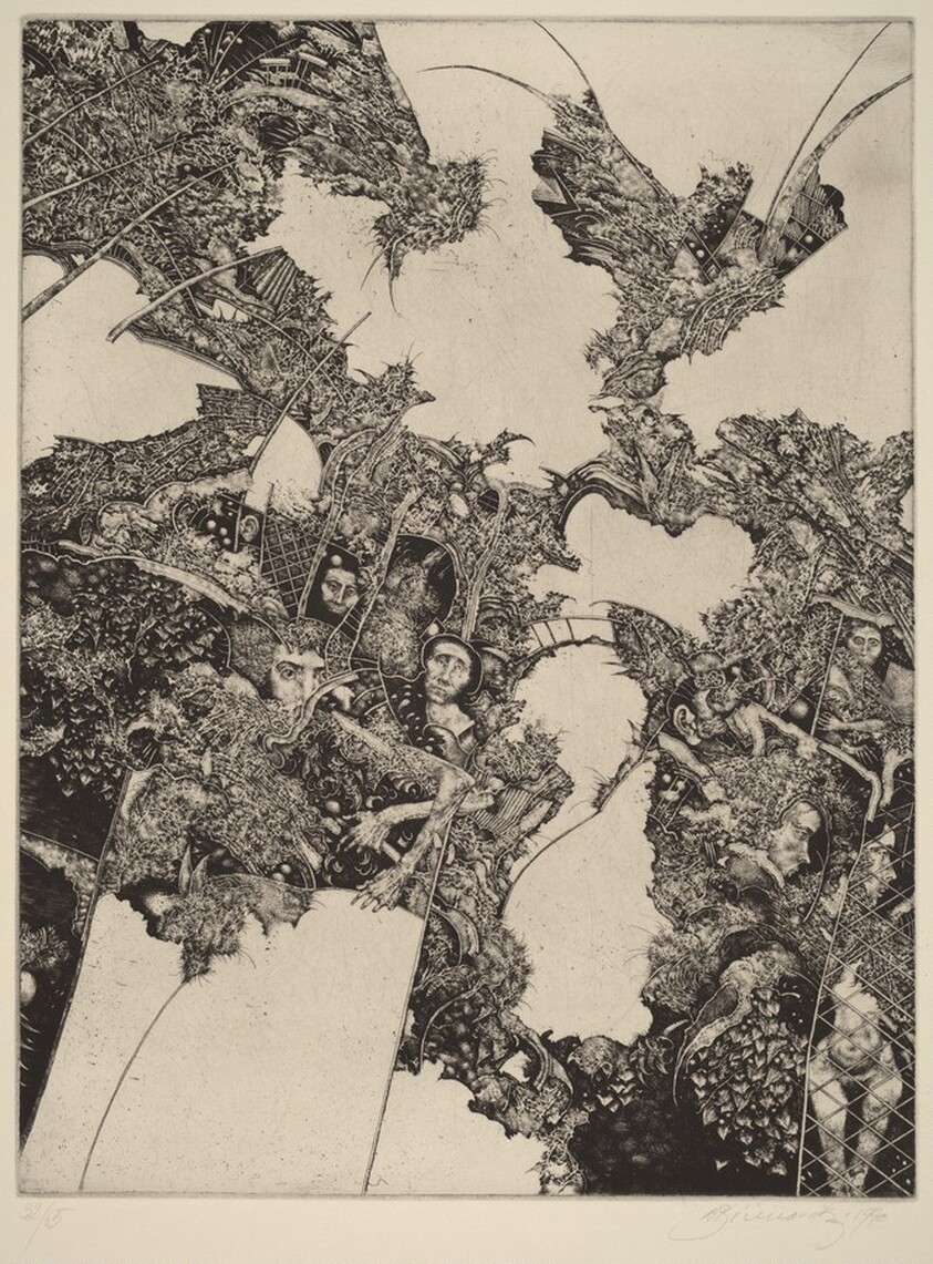 Shooting Up of Clematis