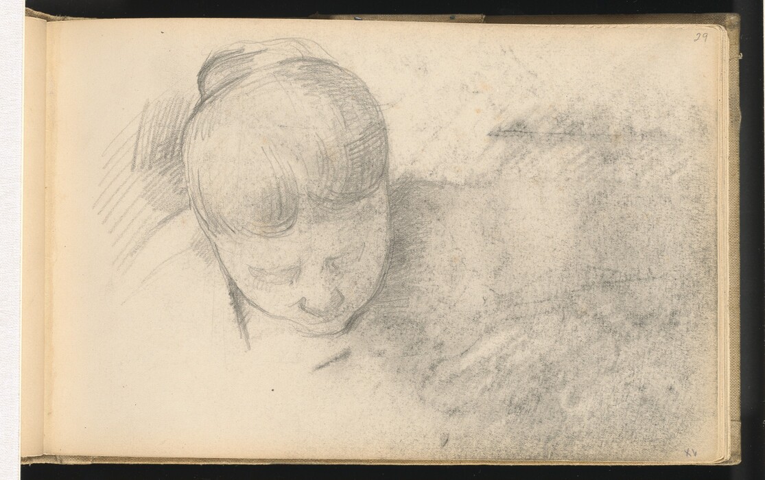 The image is a top-down sketch of a person's head showing facial features and hair styled in a bun or updo. The sketch captures the top part of the head, facial structure, eyes, and nose. The rest of the body is not detailed, with a hint of the neck and shoulder. The background is a shaded graphite texture.