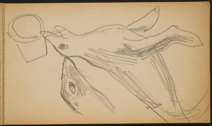 Zirkusnummer mit zwei Seelöwen (Two Performing Sea Lions) [p. 25]