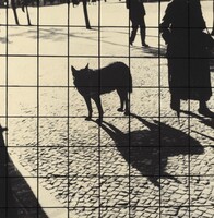 Untitled (Berlin), György Kepes, 1931