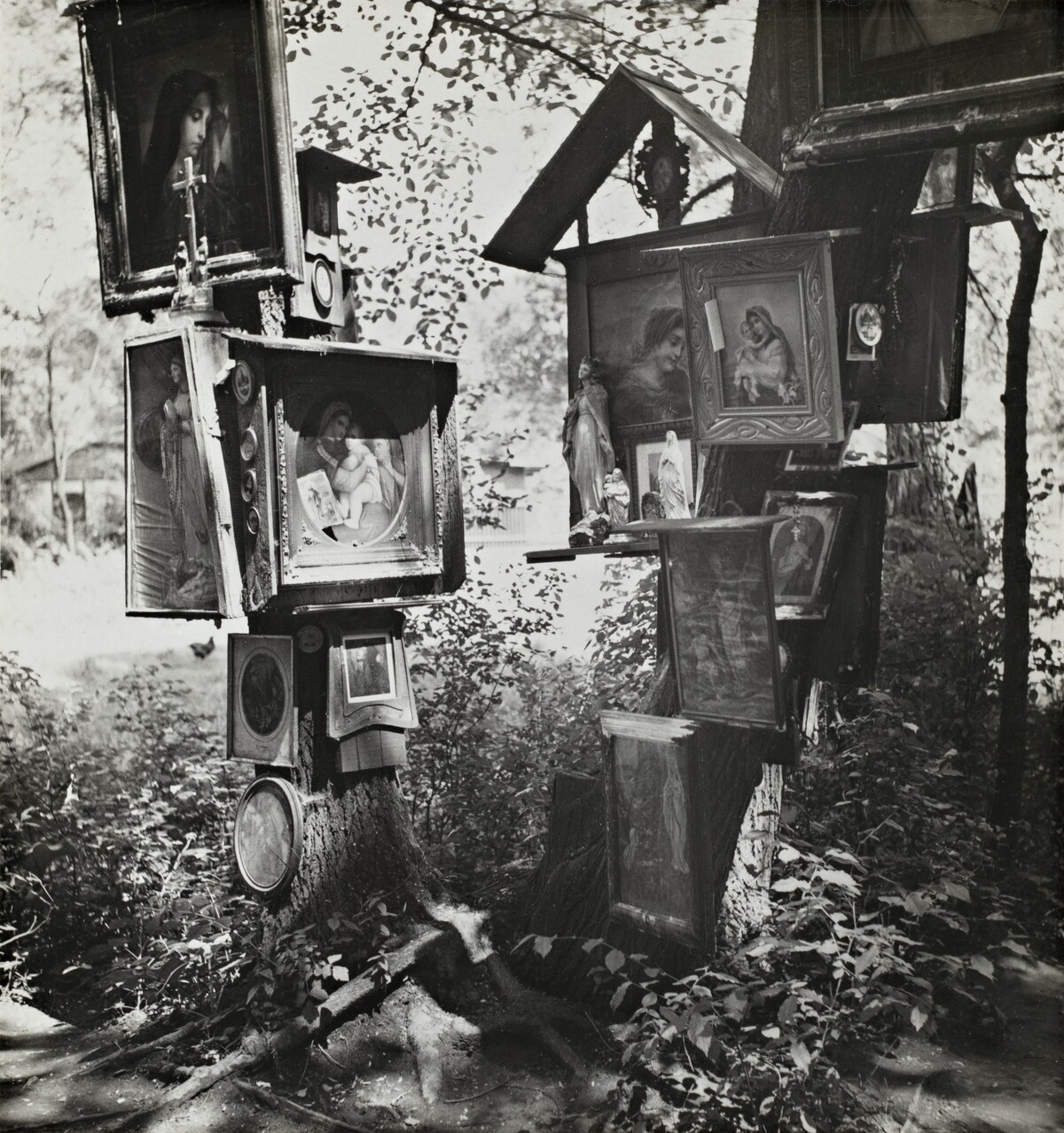 Our Lady of the Forest (Panna Marie v lese)