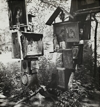 Our Lady of the Forest (Panna Marie v lese)