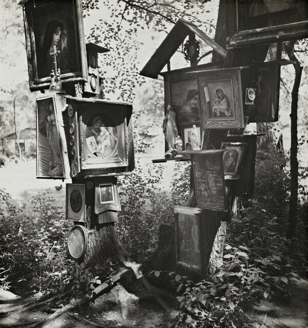 Our Lady of the Forest (Panna Marie v lese)