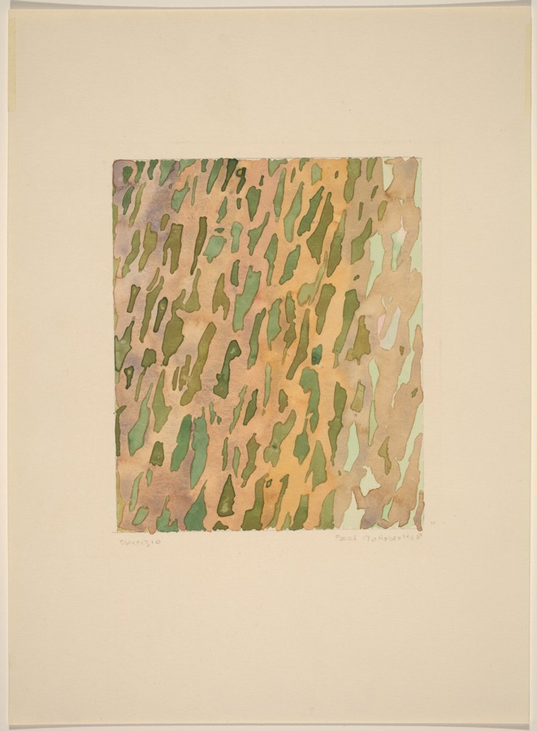 Exrazio, Lucio Pozzi, 1968