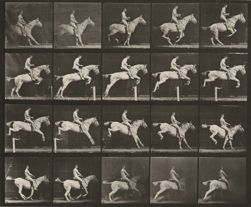 Plate Number 642. "Pandora" jumping a hurdle, saddled; rider nude