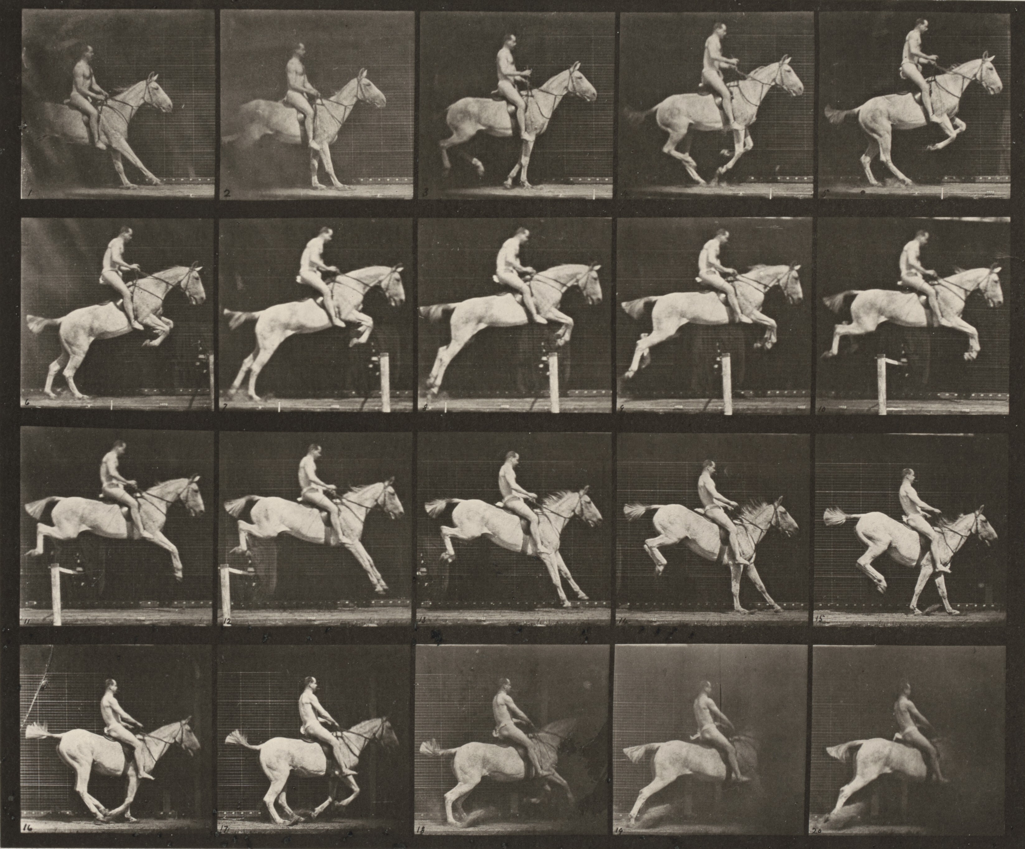 アート・デザイン・音楽 Eadweard Muybridge. Eadweard Muybridge | National Gallery of Art