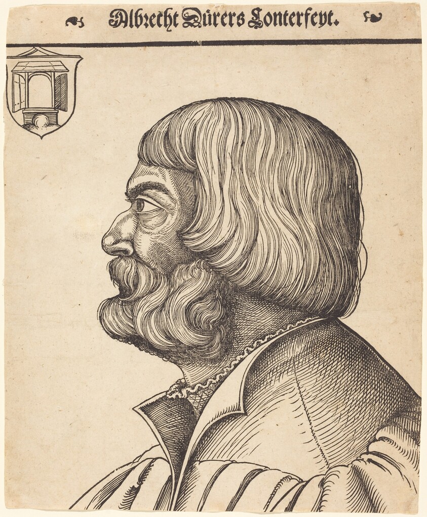 Albrecht Dürer at Age Fifty-Six