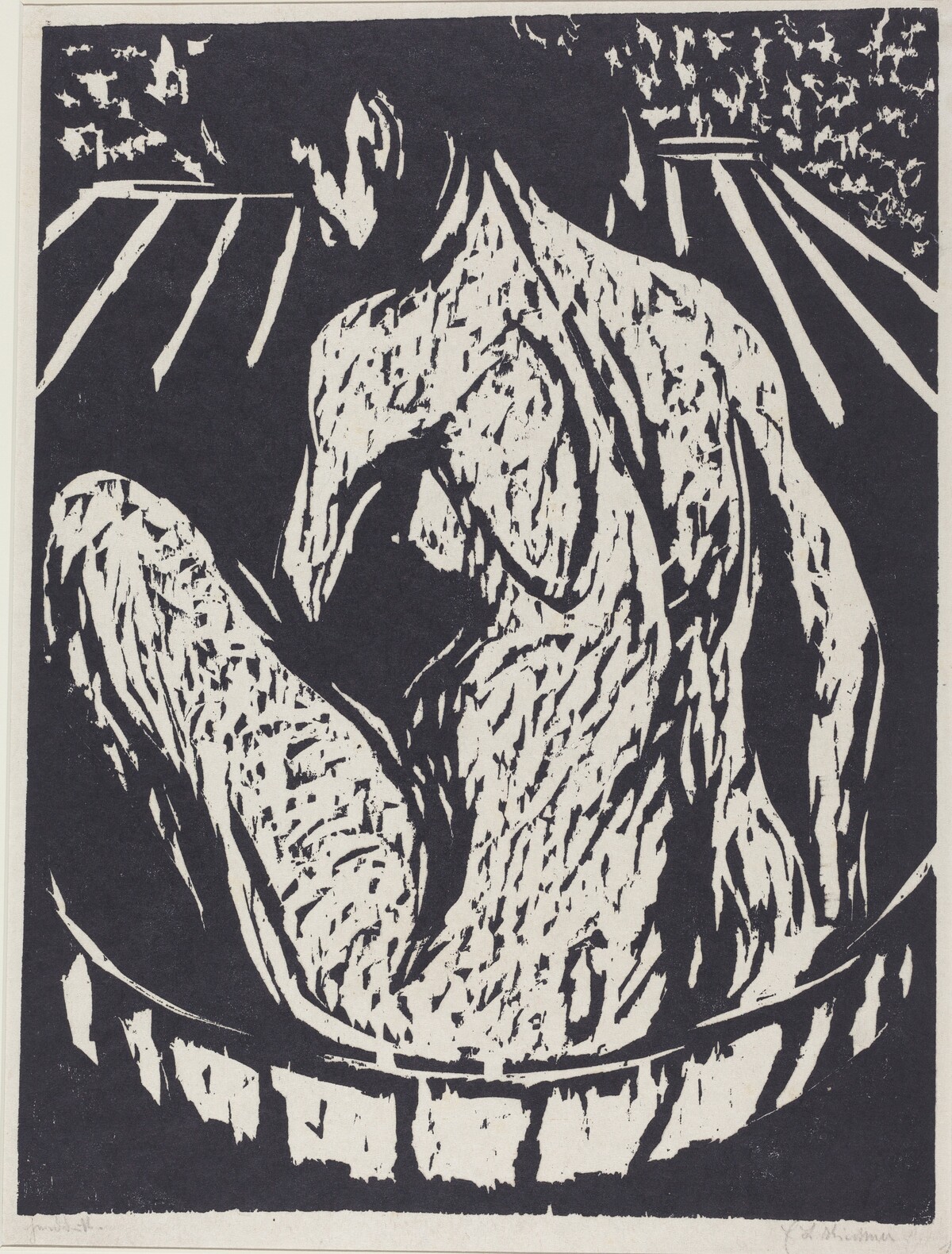 Female Nude